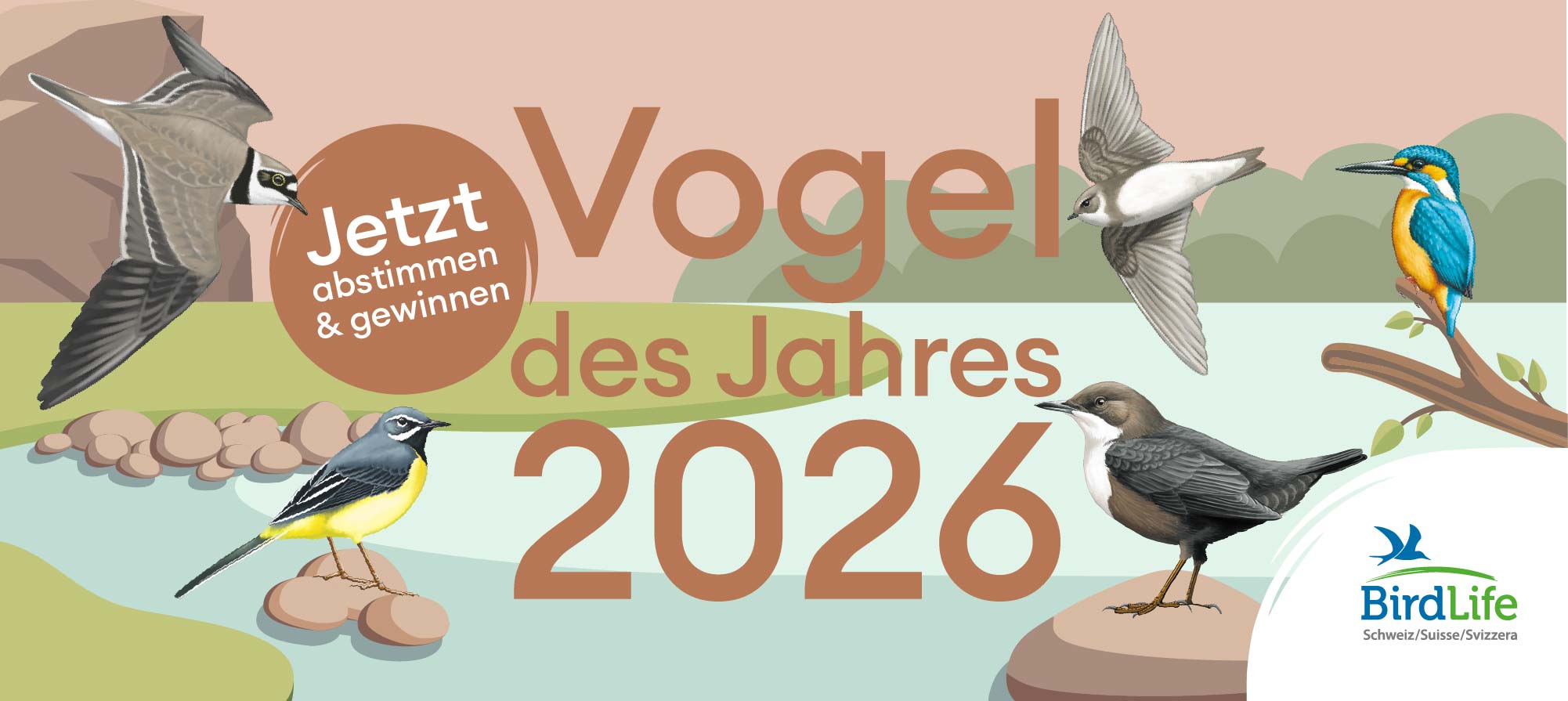 banner vogel des Jahres 2026