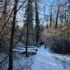 5 weg zum haus